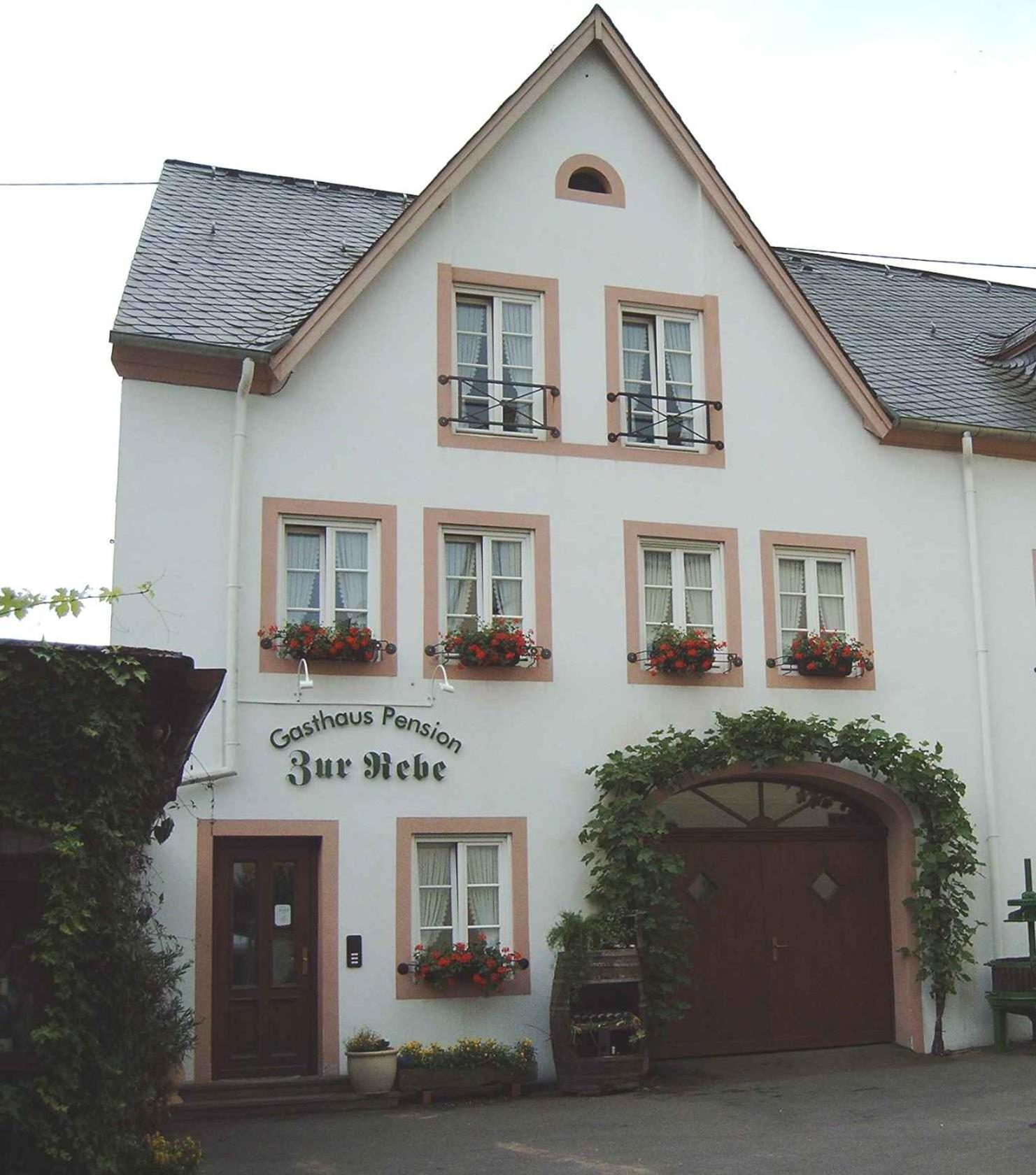 Gasthaus Zur Rebe Mehring  Kültér fotó