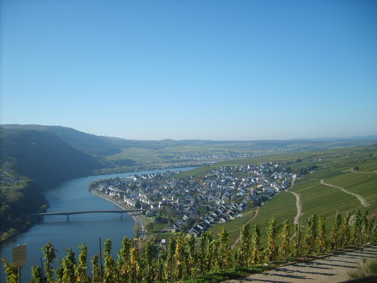 Gasthaus Zur Rebe Mehring  Kültér fotó